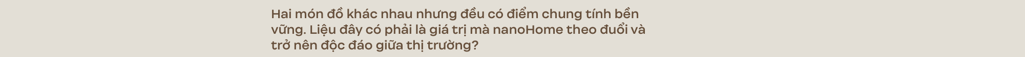 Trò chuyện với 2 nhà sáng lập nanoHome: Mỗi tổ ấm là một bảo tàng cá nhân - Ảnh 9.