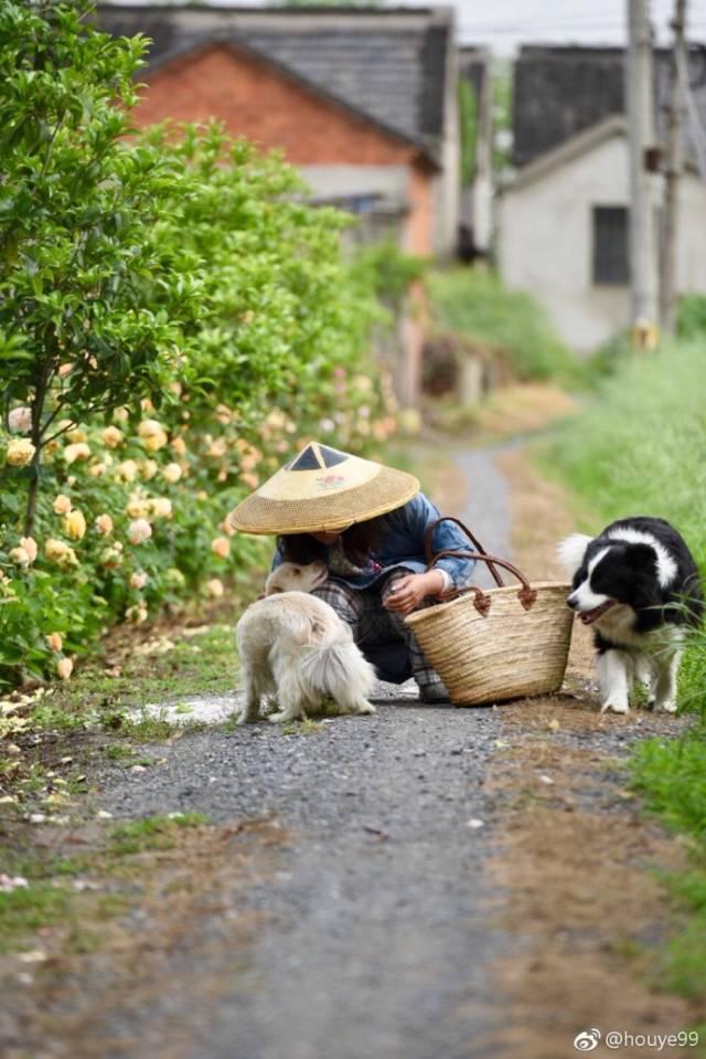 Trong 4 năm, cô gái này đã biến ngôi nhà của mình thành bức tranh cổ tích rực rỡ sắc màu và đầy chất thơ- Ảnh 23.