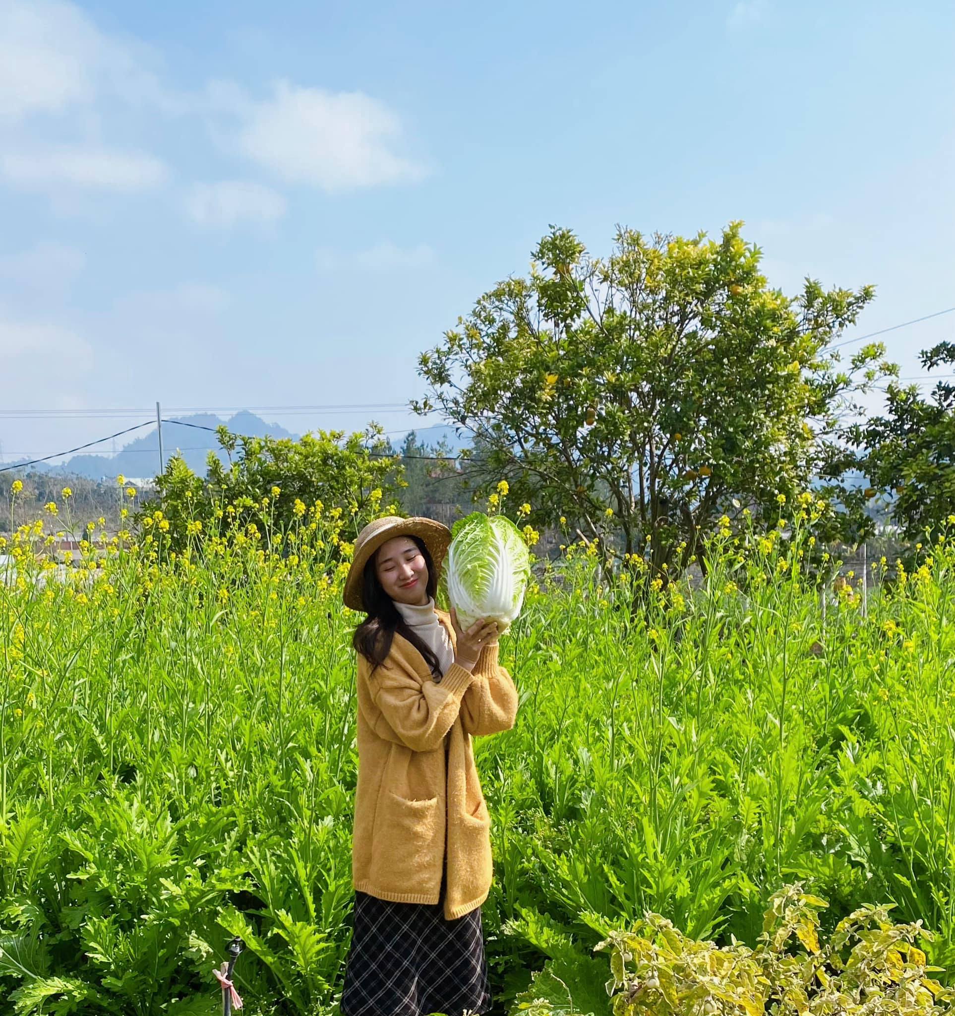 Bỏ phố lớn về Mộc Châu sinh sống, cô gái thuê đất làm homestay, hạnh phúc với cuộc đời bình yên- Ảnh 3.