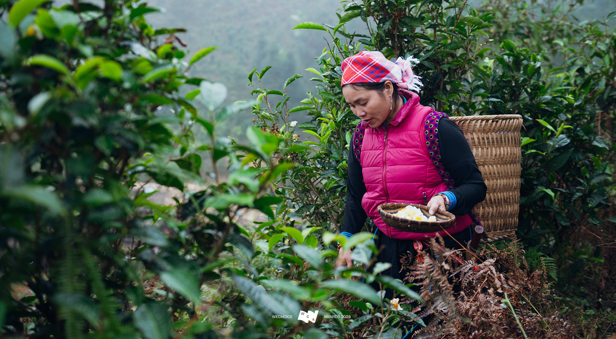 Vàng Thị Thông - Ảnh 18.