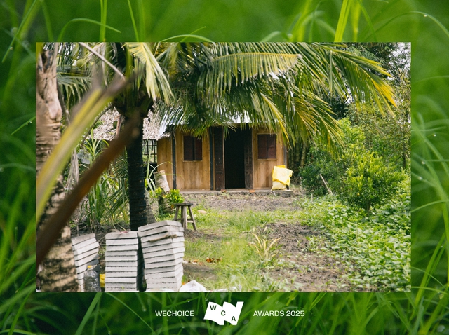 Chàng chăn vịt Lê Tuấn Khang “mần” video từ ve chai, xóm làng mà nổi tiếng, mát lòng mát dạ dân miền Tây  - Ảnh 1.