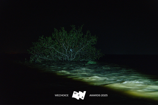 Những buổi livestream không lời giữa dòng nước dữ: chỉ còn tiếng sóng và lời hứa với người ở lại - Ảnh 1.