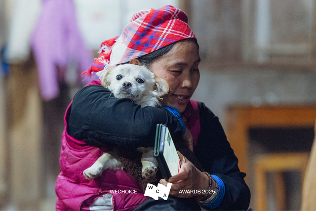 Vàng Thị Thông: Người phụ nữ Tày kể câu chuyện Bản Liền bằng ngôn ngữ của thời đại mới - Ảnh 2.