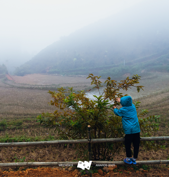Vàng Thị Thông: Người phụ nữ Tày kể câu chuyện Bản Liền bằng ngôn ngữ của thời đại mới - Ảnh 2.