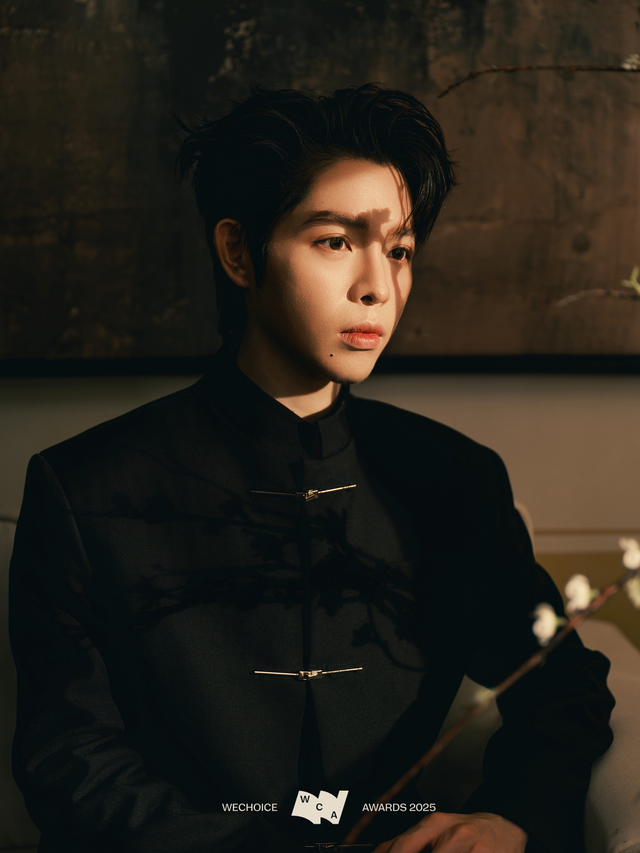 Một thập kỷ rực rỡ của Đức Phúc: 