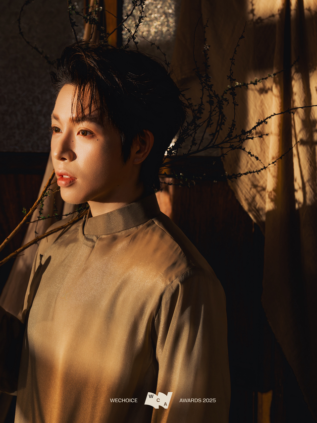 Một thập kỷ rực rỡ của Đức Phúc: 