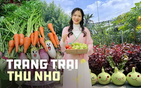 Khu vườn rộng 300m2 sum suê rau trái, mùa nào thức nấy, tươi tốt um tùm của mẹ đảm 4 con ở Quảng Ninh