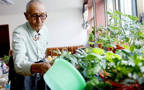 Nếu trong nhà có người lớn tuổi thì bạn nên làm những "thiết kế thân thiện với người già” dưới đây